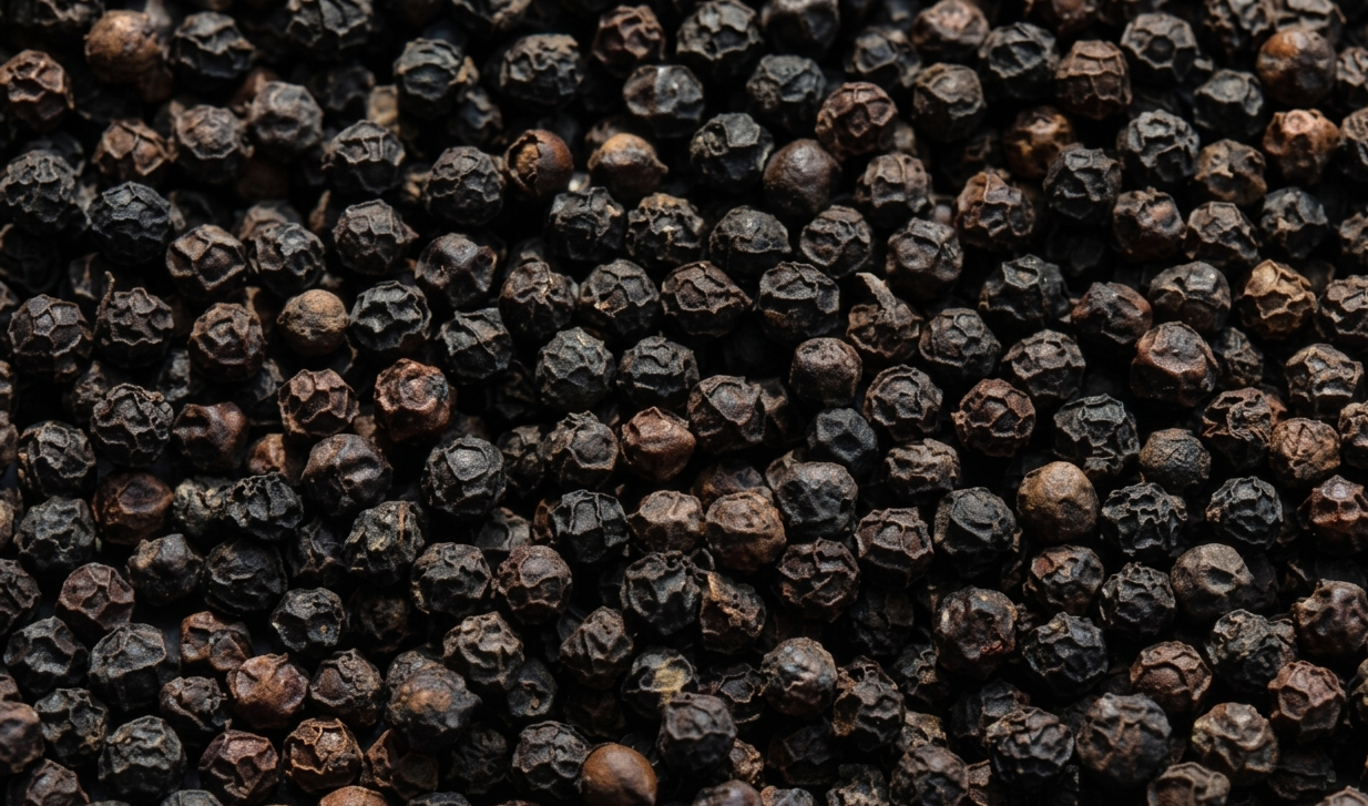 Indian Black Pepper — Malabar and Tellicherry Bold for Export