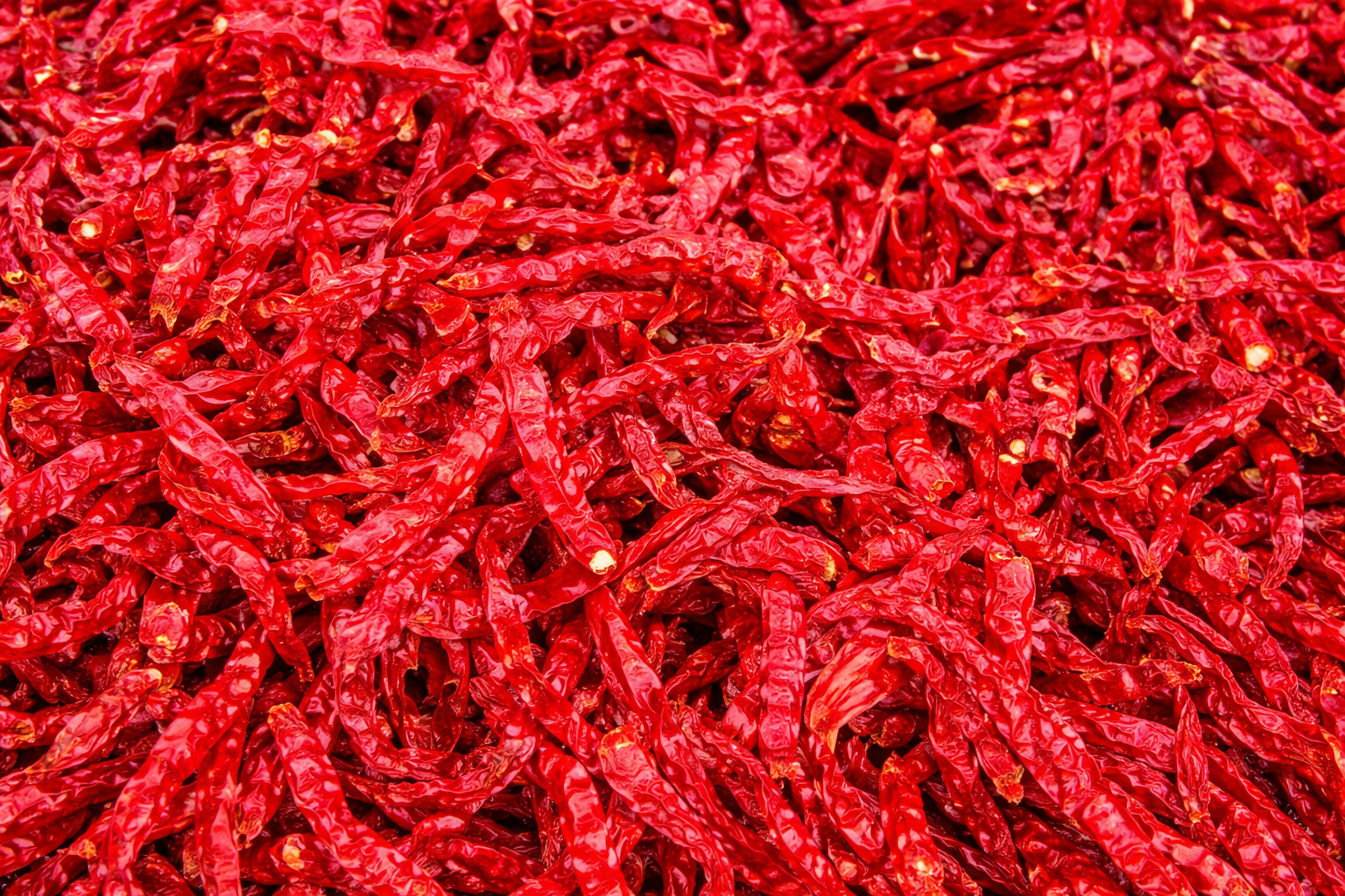 Byadgi Red Chillies 668 — Mild Heat High Color Chilli for Processing