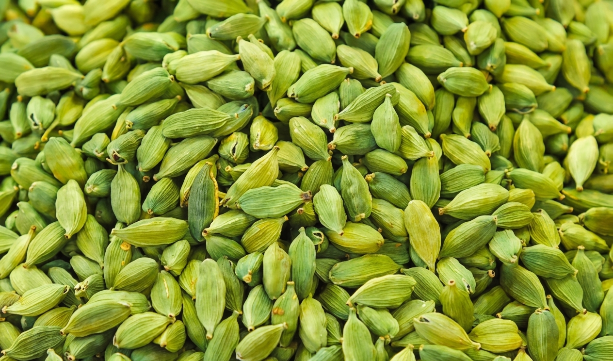 Indian Cardamom — Green and Brown Whole Pods for Export
