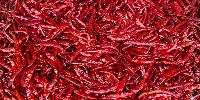 Chilli Export from India — Premium Guntur Chillies