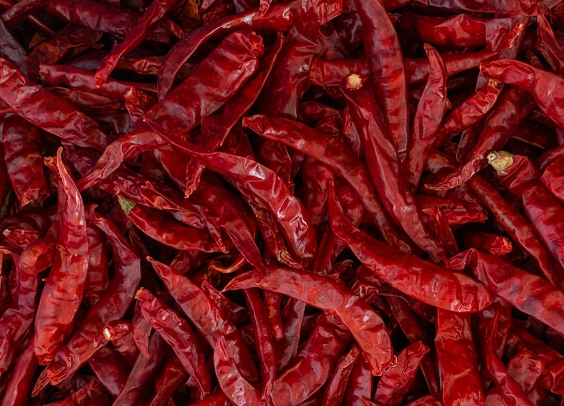 Premium Indian Red Chilli — Guntur Sannam, Teja, Byadgi Varieties for Export