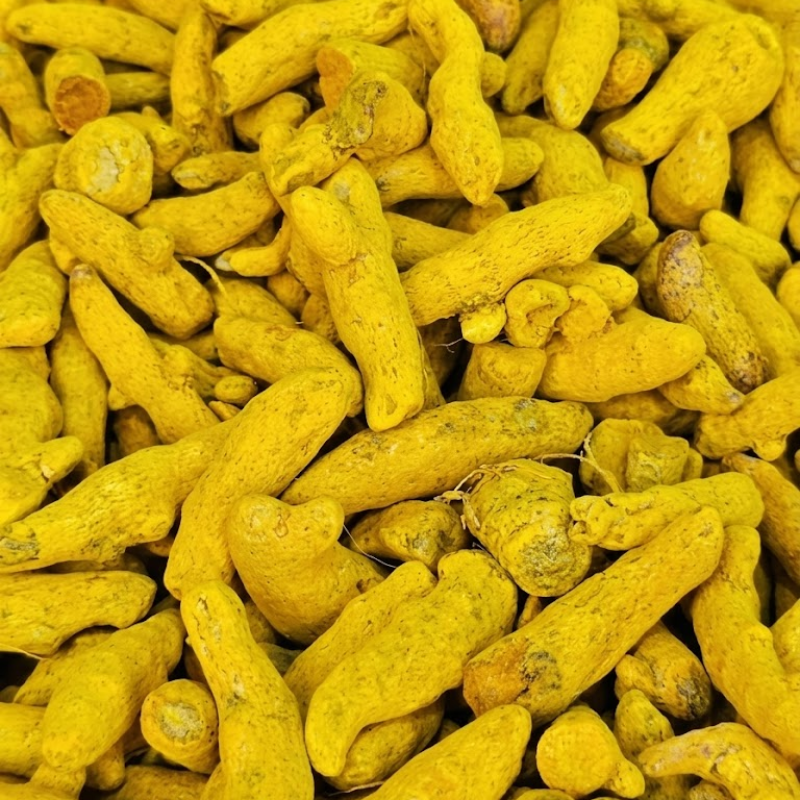 Indian Turmeric — High Curcumin Finger and Powder for Export